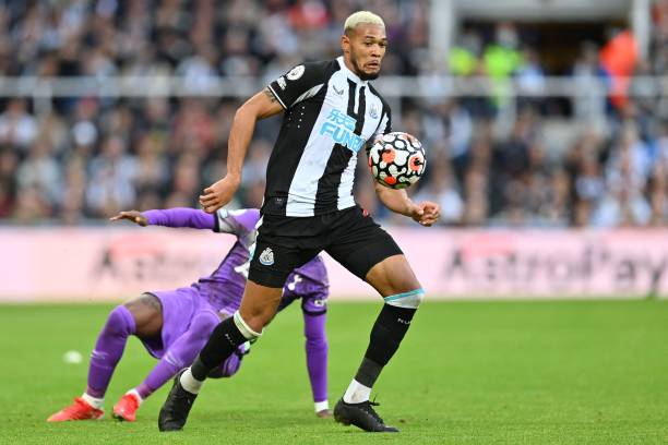 荣誉所做的 荣誉所做的