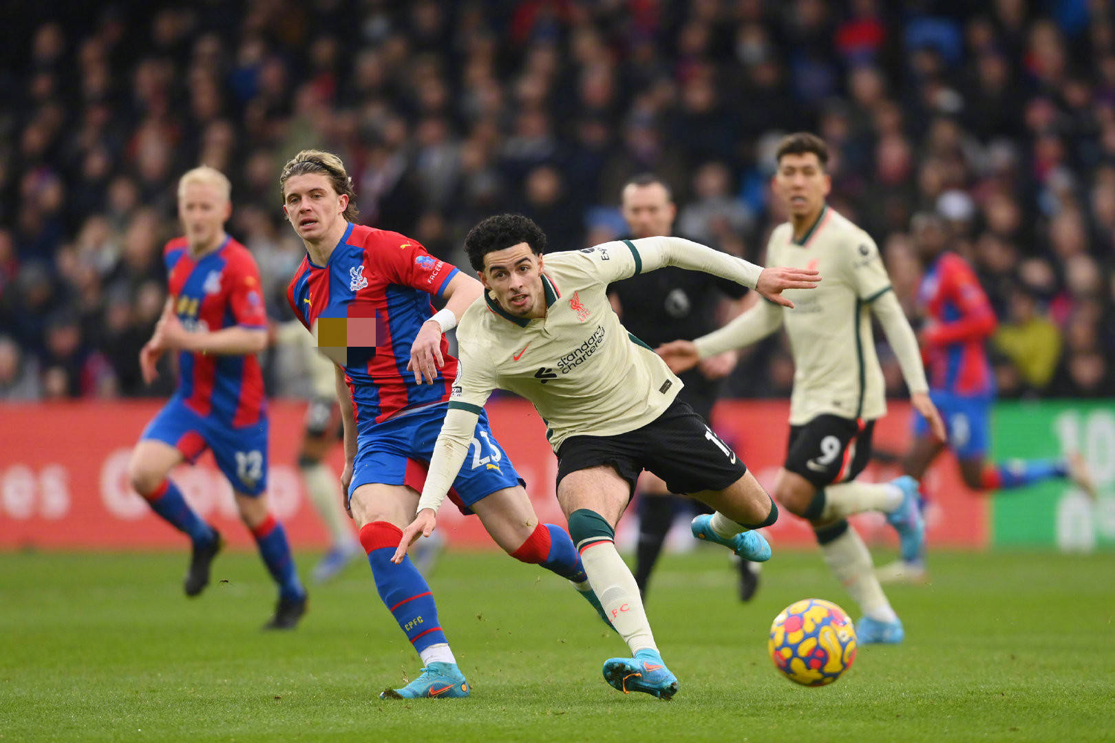 并参与中国 并参与中国